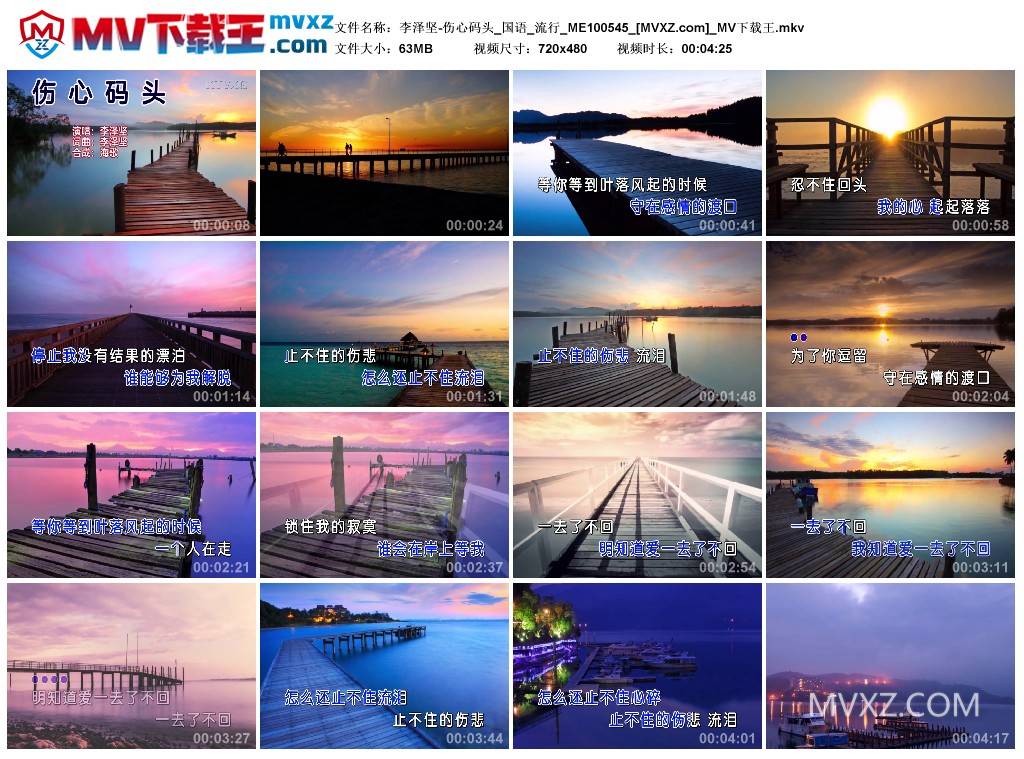 李泽坚-伤心码头_国语_流行_ME100545